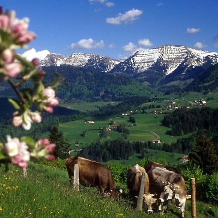 Апартаменти Fewo Sandmann, Oberstaufen, Steibis Екстер'єр фото